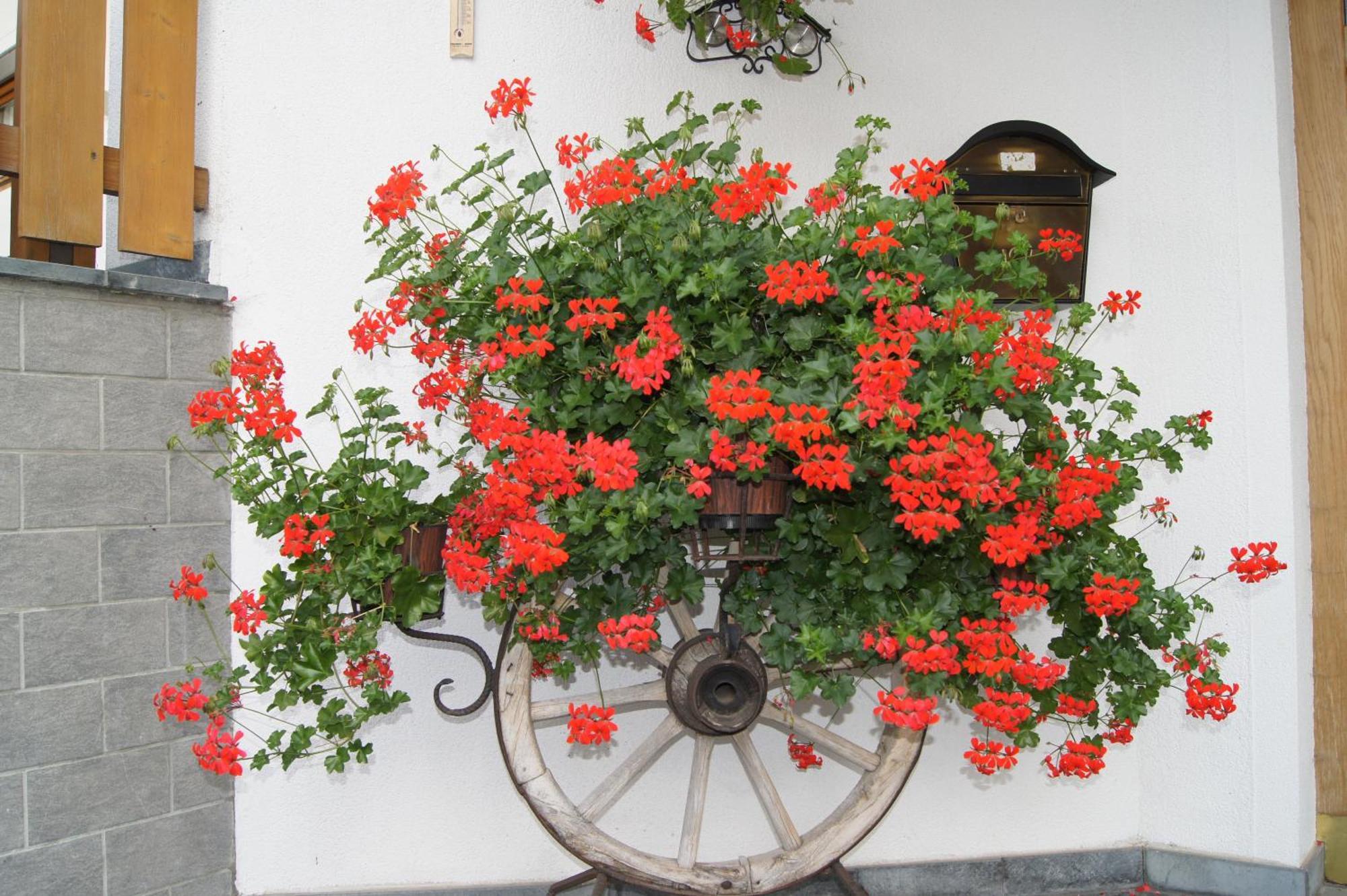 Am Laerchenweg Appartamento